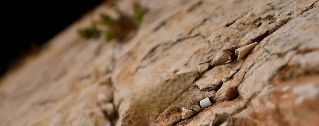 חנה פילניק - שנאת חינם – החיידק הסמוי שפוגע בכולנו