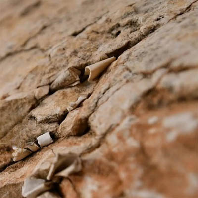 שנאת חינם – החיידק הסמוי שפוגע בכולנו